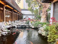 -鲤院·新中式美学·庭院餐厅(夫子庙店)