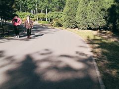 -永定河休闲森林公园