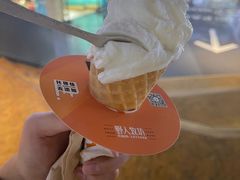 -野人牧坊Gelato(天津南开大悦城店)