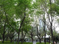 -荔香公园