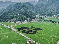 -万峰林风景区