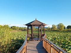 -羊亭河湿地公园