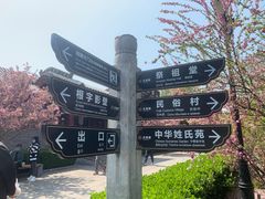-大槐树寻根祭祖园