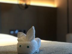 -上海佘山世茂艾美酒店