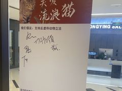 -三花喵·撸猫购宠·宠物生活馆(虹桥南丰城店)