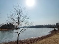 -东湖落雁景区