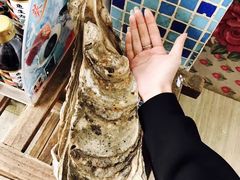 -蚝专家(北滘店)