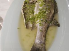 -宁波石浦大饭店(新材料城店)