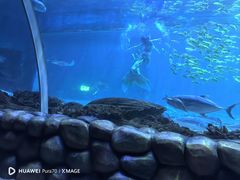 -华夏文旅西安度假区