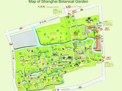 -上海共青森林公园