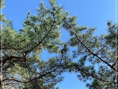 -北岭山森林公园