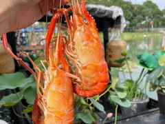 -水岸居湖景农家乐·阳澄湖大闸蟹