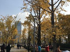 -两江幸福广场