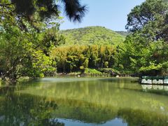 -宝岩生态观光园