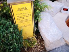 -大连金石滩绿发温泉假日酒店