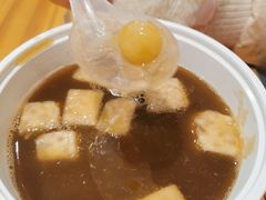 -海丝金凤(金鱼店)