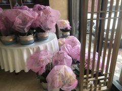 -苏启渔港(云南北路店)