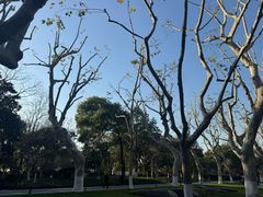 -湖畔居茶楼(湖滨店)