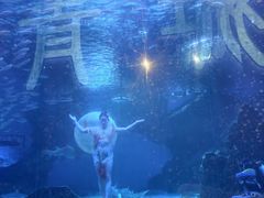 -海合安成都极地海洋公园