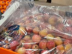 -上海龙吴水胜海发市场