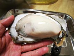 -蚝得喜海鲜(东城店)