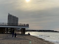 -长兴岛海滨公园
