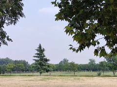 -汉长安城未央宫国家考古遗址公园