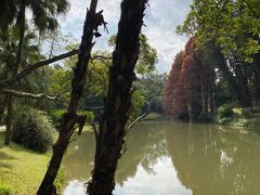 -中国科学院华南植物园
