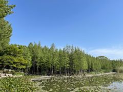 -云龙湖旅游景区