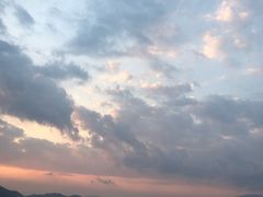 -杨梅坑