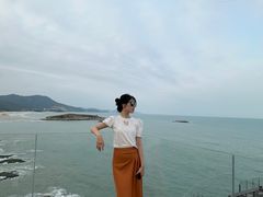 -广东惠东海龟国家级自然保护区