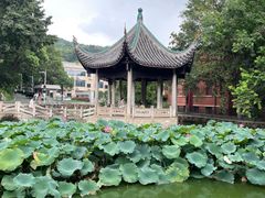 -岳麓山风景名胜区