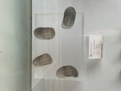 -南阳府衙