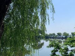 -无锡蠡湖国家湿地公园-蠡园