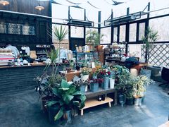 -北马山庄植趣咖啡