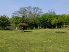 -艾溪湖湿地公园