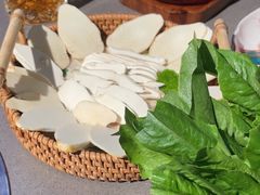 -蘑界·野生菌火锅(深业上城店)