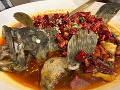 -甄御•海鲜新青岛菜(麦岛店)