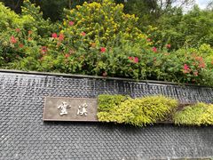 -云溪植物园