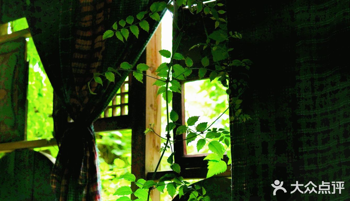 成都下午茶｜森林木屋的悠闲