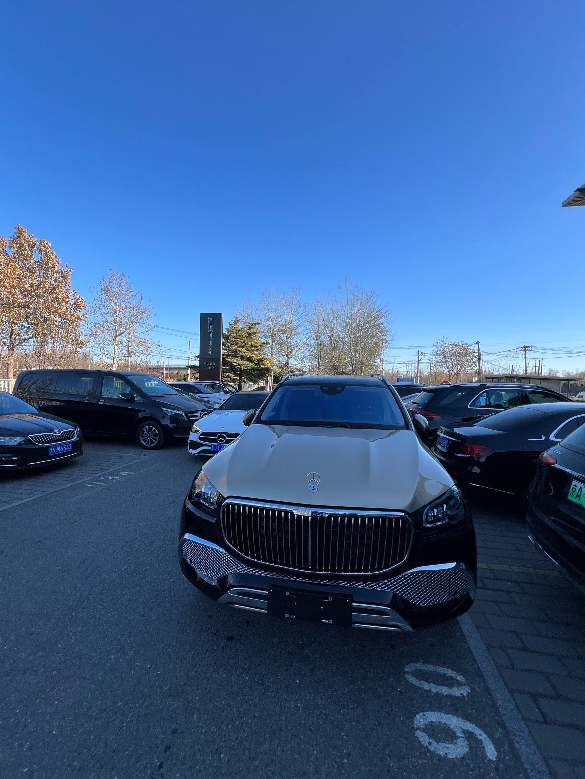 双色 迈巴赫gls600