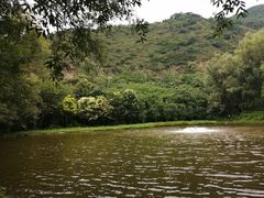 -西安大兴汤院遗址公园