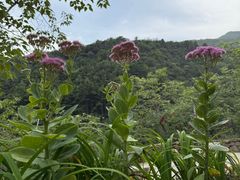 -云丘山景区