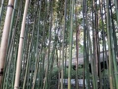 -成都杜甫草堂博物馆