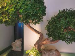 -潮上潮(南中环店)