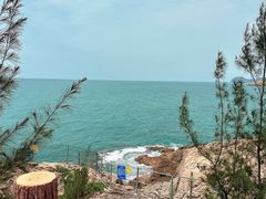 -广东惠东海龟国家级自然保护区