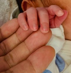 -杭州贝瑞斯美华妇儿医院·早孕·产检·儿科