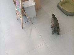-小伙伴宠物医院•急重症转诊中心·老年专科·犬猫全科(北大街总院)
