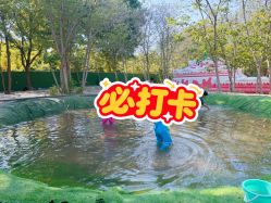 -268童话露营农场·烧烤·团建