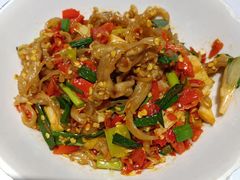 鸭掌筋-壹盏灯(惠农店)